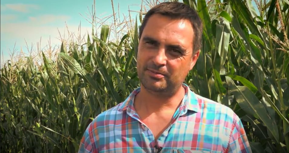 Bogdan Furfurica, Romania