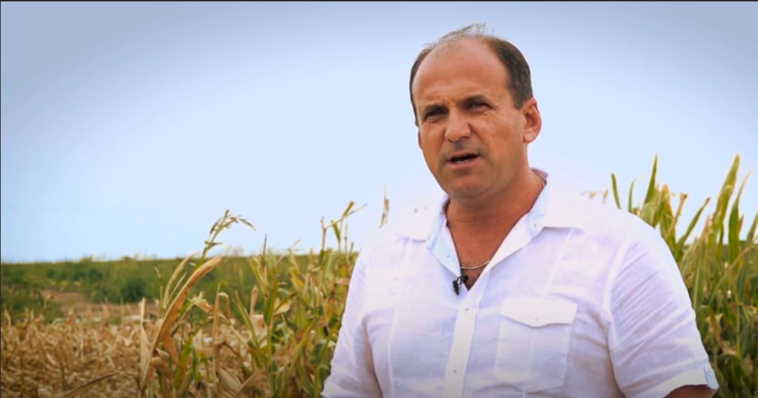 Cristinel Brânză, Romania