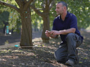 ДАТЧИКИ КУЛЬТУРЫ