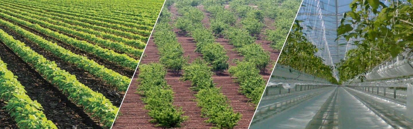 Digital farming solution