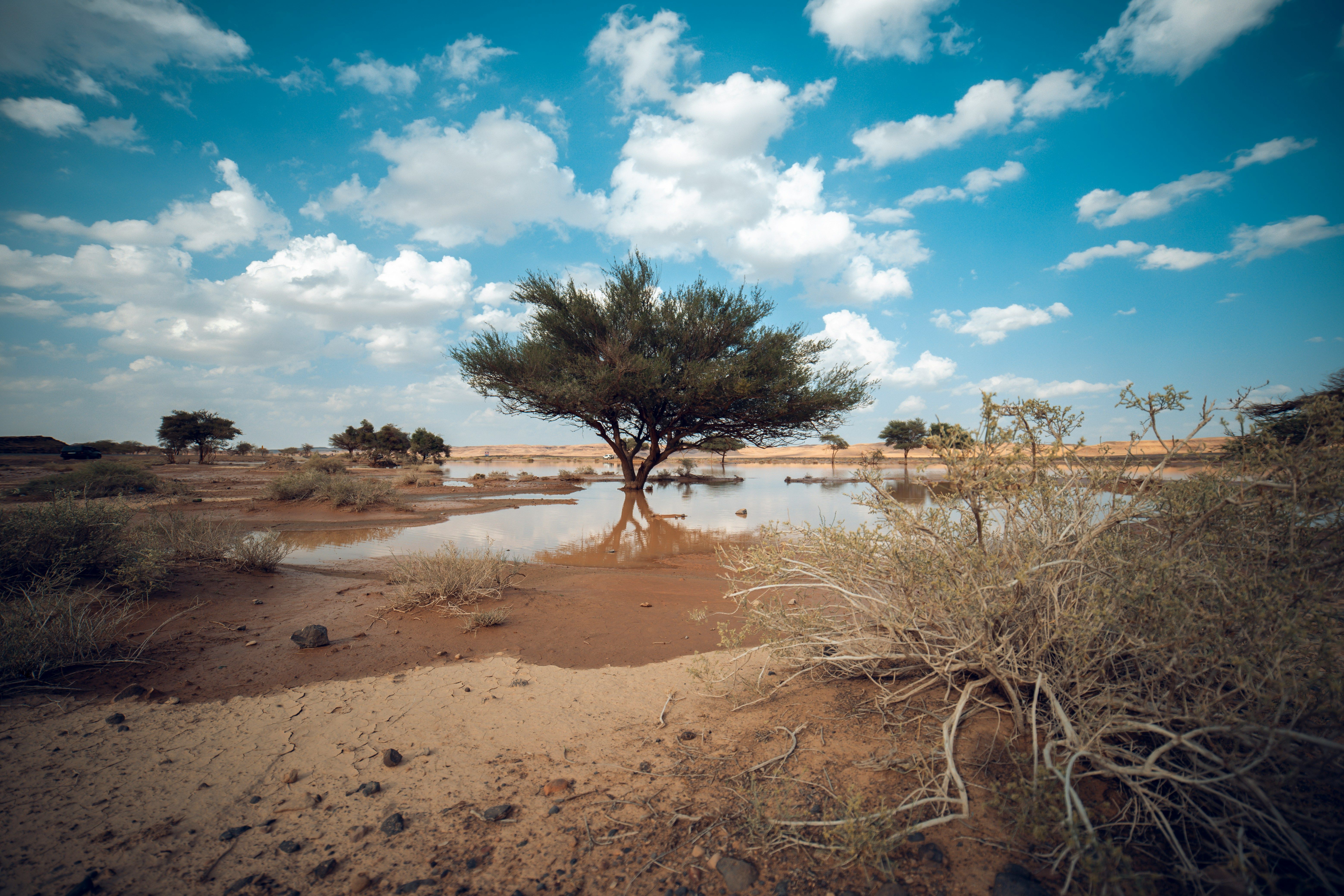 SA Government Launches Drought Resilience Rebate