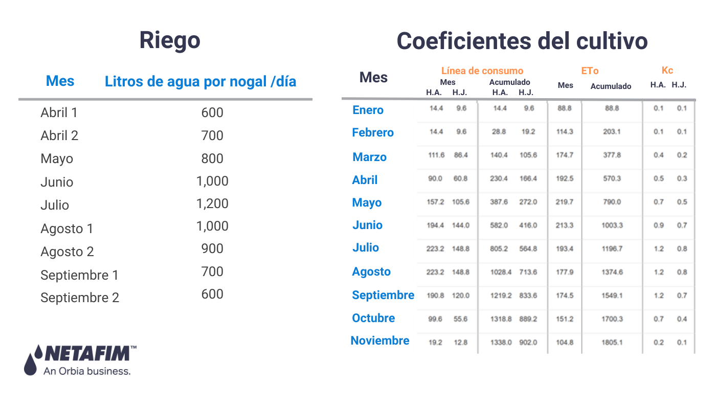 ¿Cómo calcular el consumo de agua?