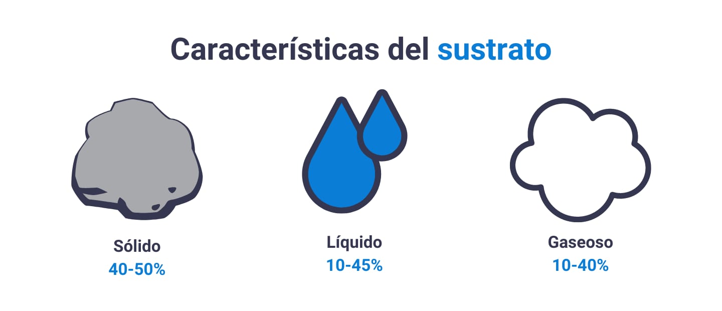 Características de los sustratos