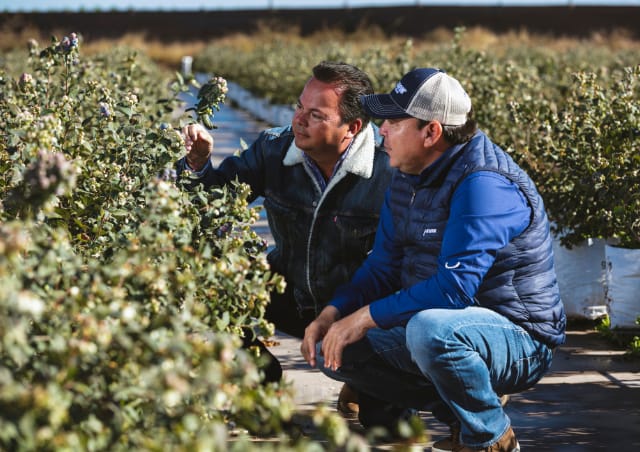 ¿Qué es la agricultura de precisión?