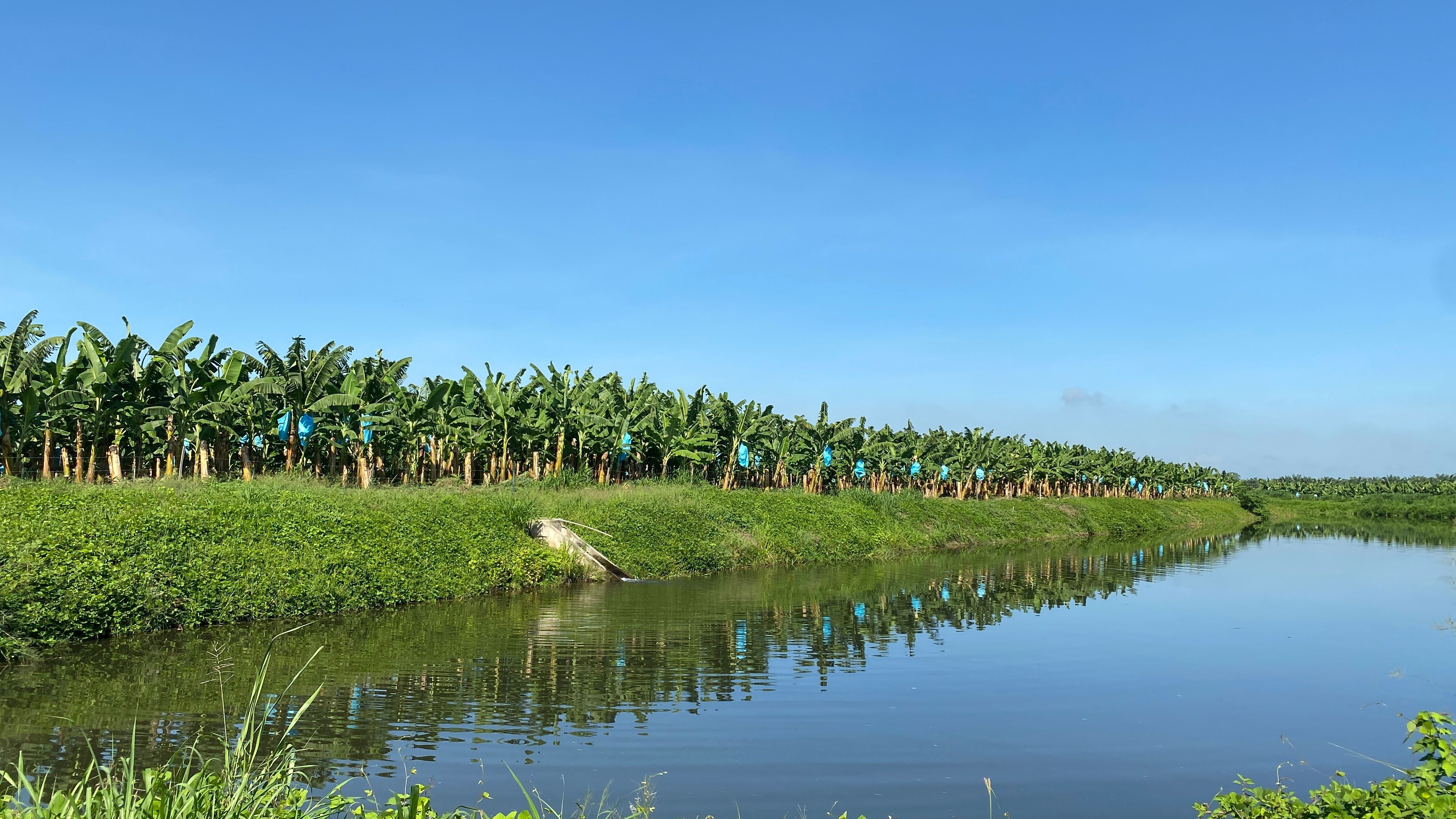 Eficiencia en el uso de agua