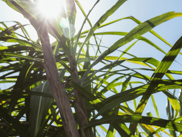 XLIV CONVENCIÓN EXPOATAM 2024