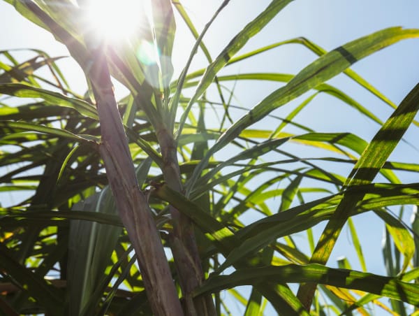 XLIV CONVENCIÓN EXPOATAM 2024