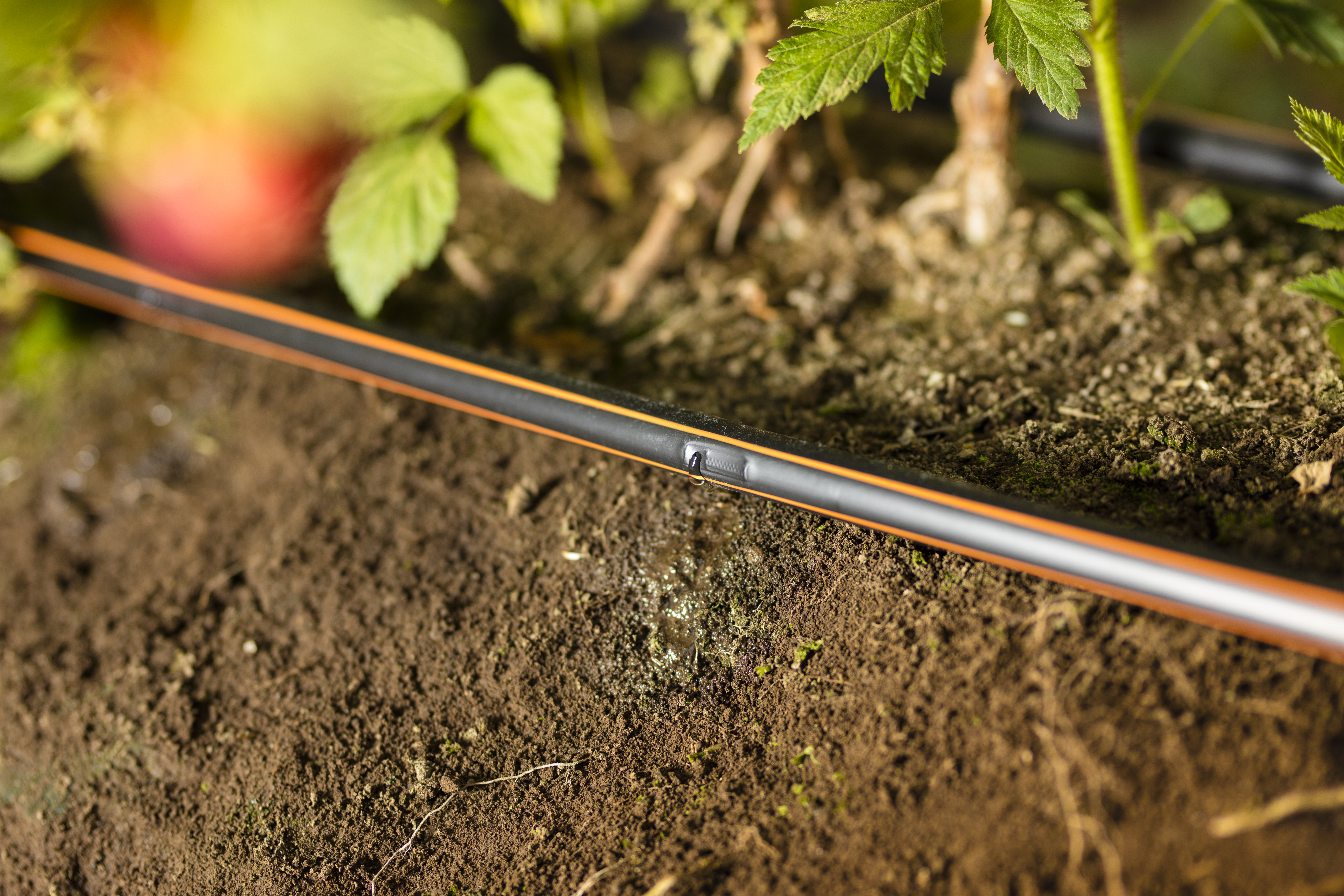 What is drip irrigation?
