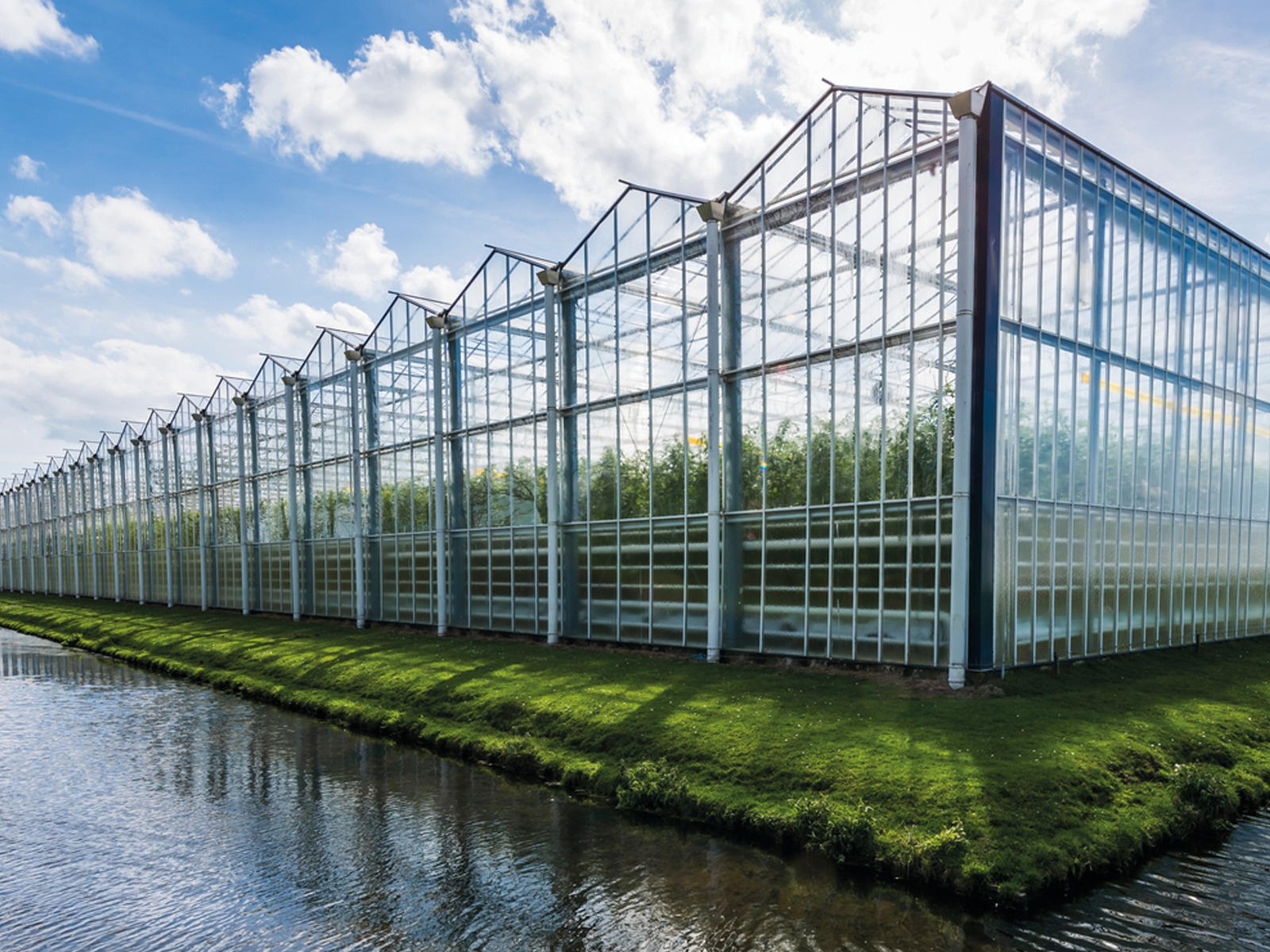 Different greenhouse structures