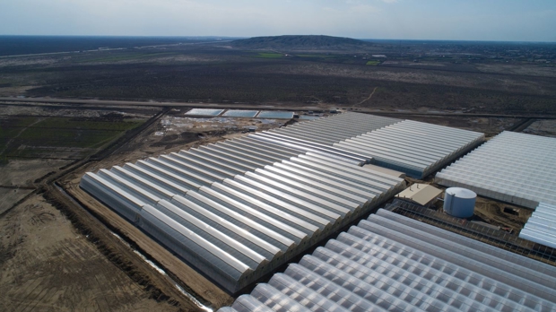 Greenhouse: saving 40% in water and fertilizers