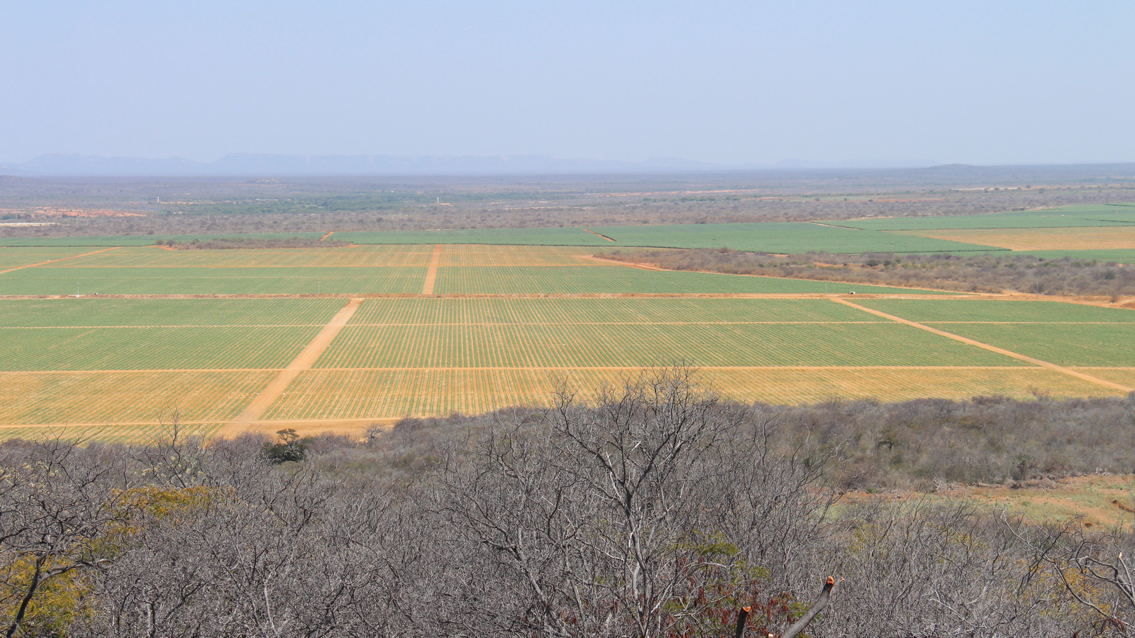 Leveraging Automation to Achieve Sustainable Sugarcane Production in Brazil