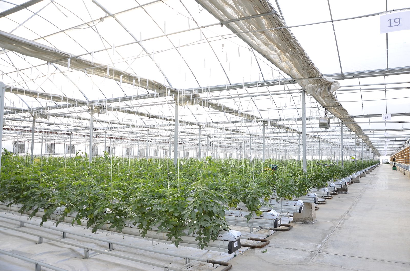 greenhouse irrigation, fertigation