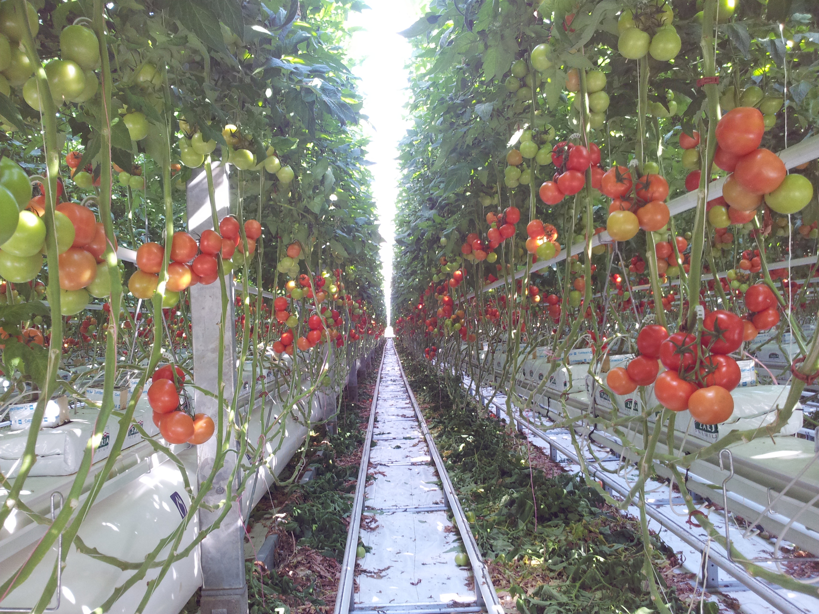 Netafim Product Offering Our Catalogue Netafim