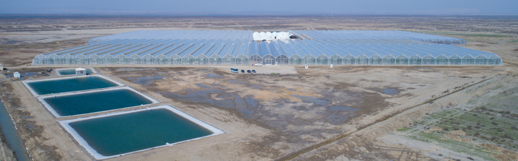 Greenhouse projects | Farming in a controlled environment