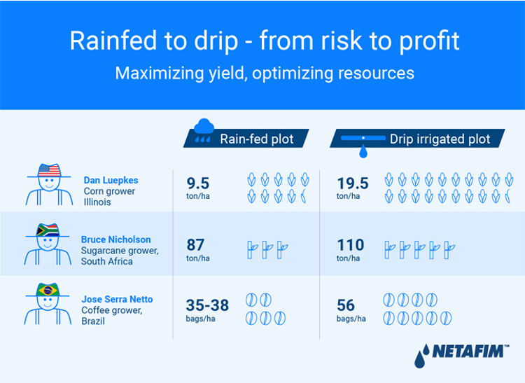 rainfed to drip - from risk to profit