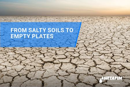 Is Soil Salinity a Threat to Our Food Security?