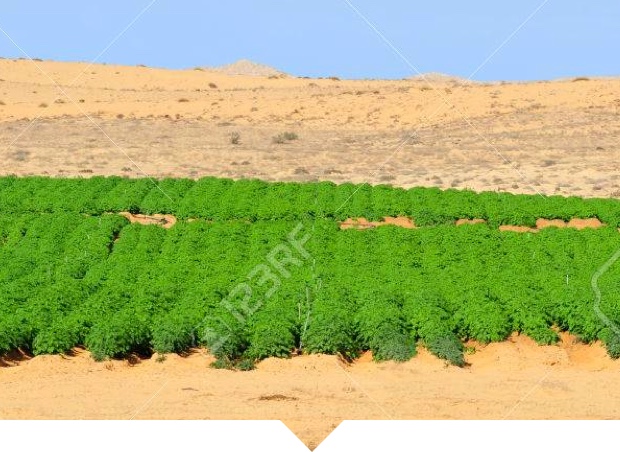 IRRIGATION WATER USE intelligence overview