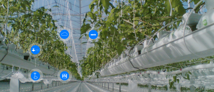 OPTIMIZING PROTECTED CROPS GROWTH WITH NETBEAT™