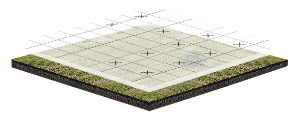 open-field-stage-1