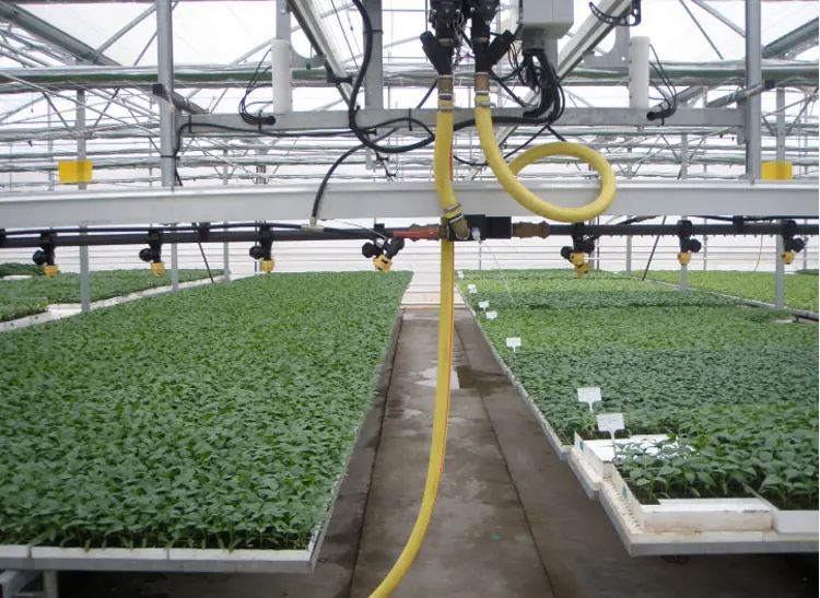 Nursery growing systems (greenhouse technology)