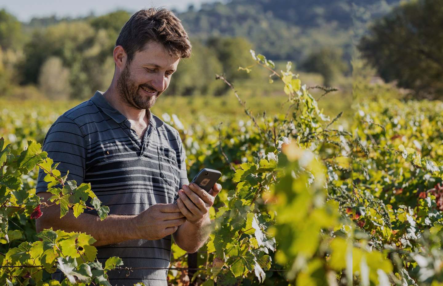 Know more. Grow more