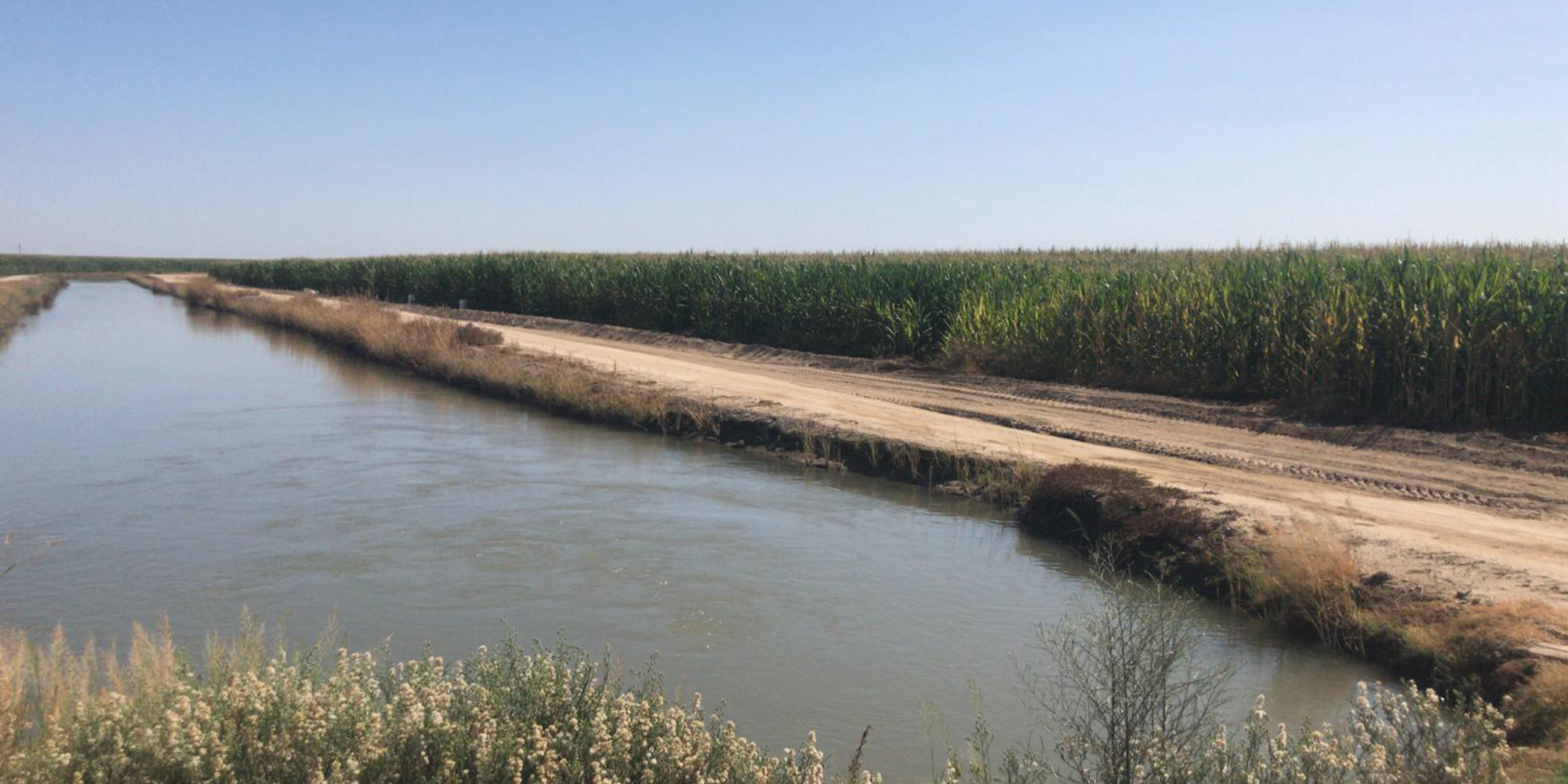 Low Energy Gravity Drip Irrigation System