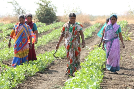 Empowering women in developing countries with Agritech