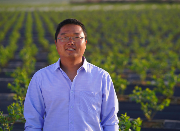 Bringing Digital Farming To Blueberry Production In China