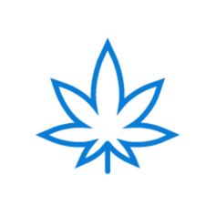 Drip Irrigation and Fertigation Protocol for Medical Cannabis