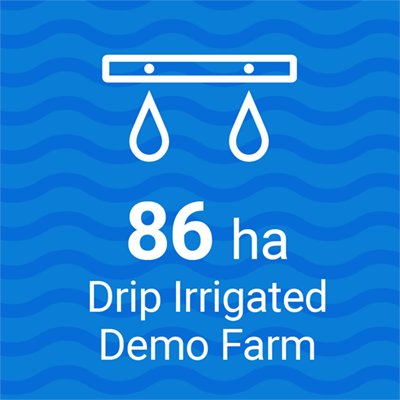 drip-irrigated-demo-farm