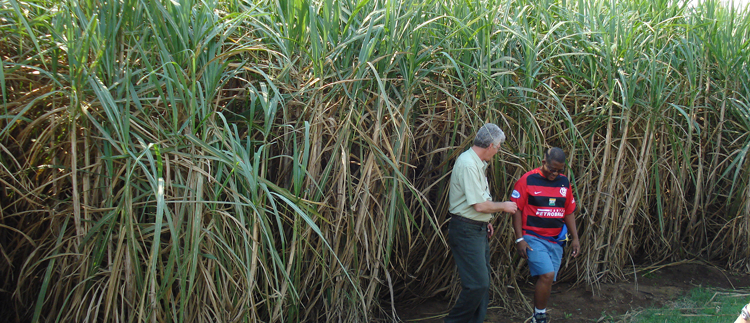 Keeping Eswatini’s National Sugarcane Producer at the Cutting Edge of Modern Technology