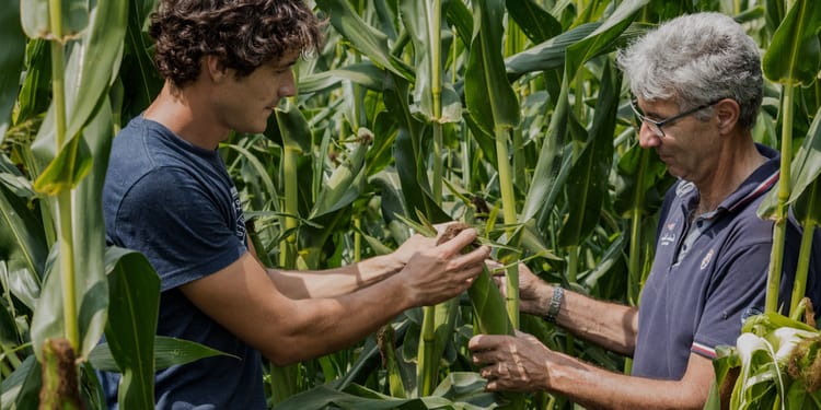 Innovation by farmers, for farmers
