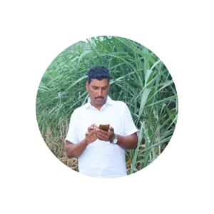 Farmer looking at mobile screen